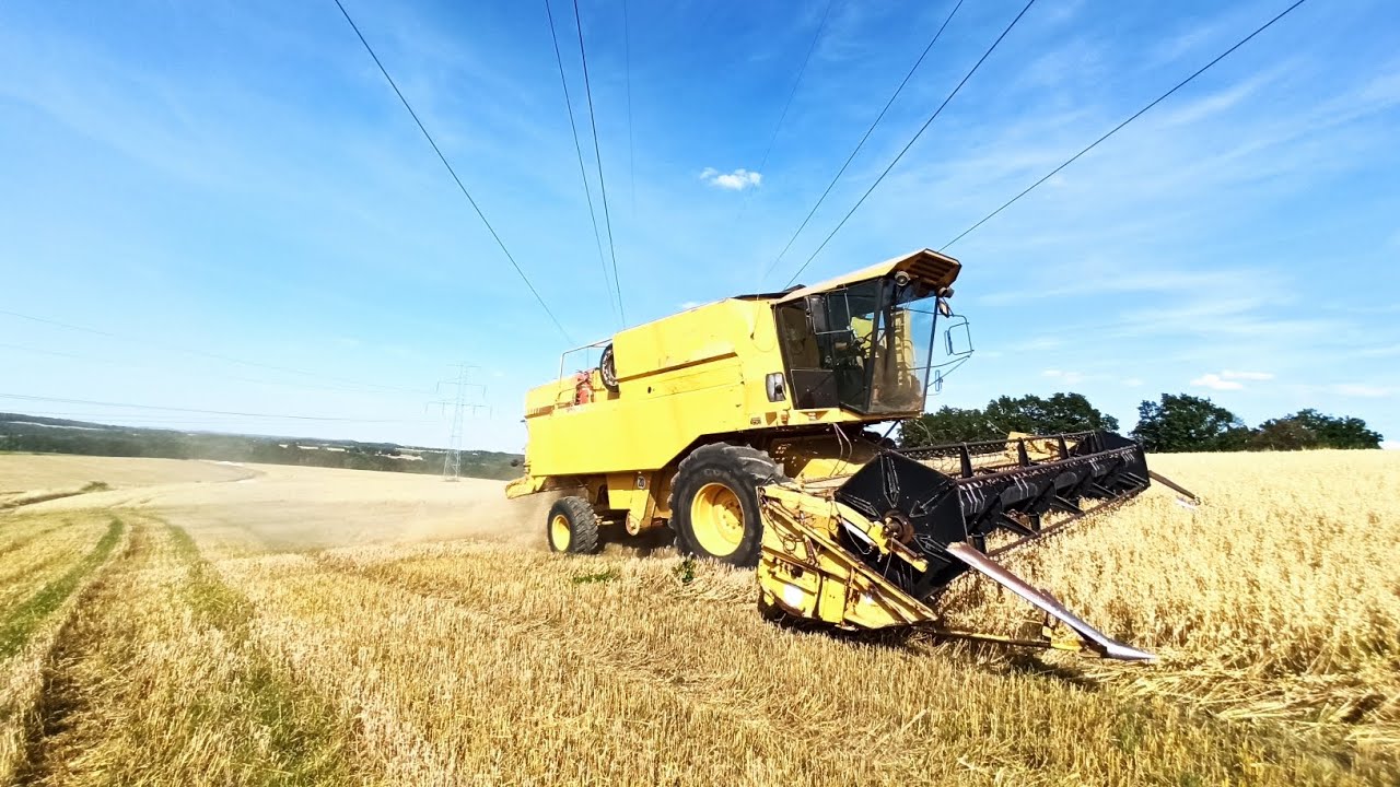 #17 Żniwa- Pszenica i owies / New Holland TX 36