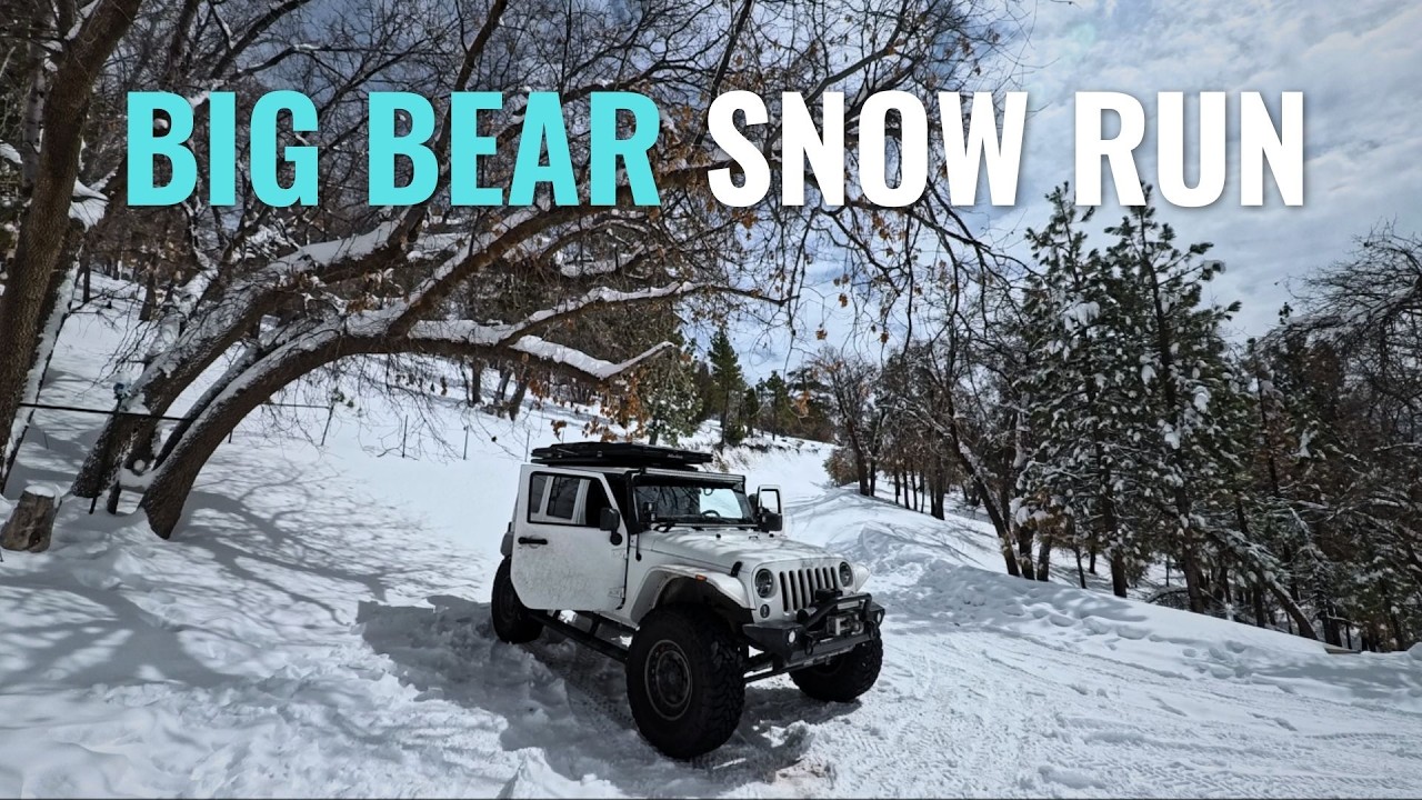 Our Day Didn't Go As Planned. We Turned Back. Big Bear Fresh Snow Run ❄️