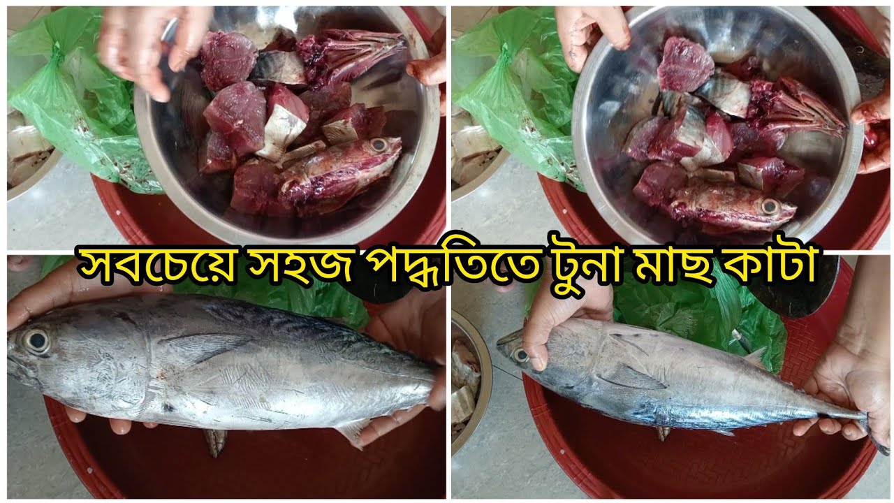 টুনা মাছ কাটার সবচেয়ে সহজ পদ্ধতি / tuna fish cutting 🤞