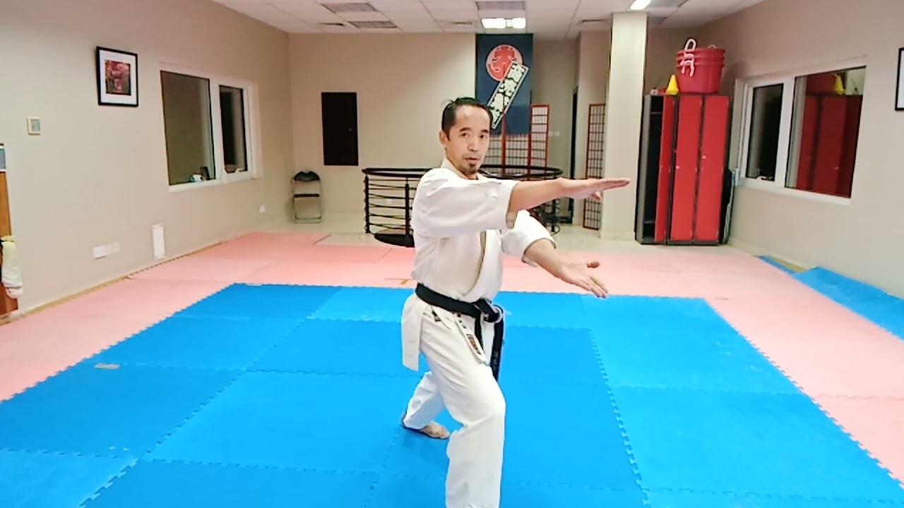 instructional video of new olympic kata, part 1 by EJ Kapawen@Kap Karate.