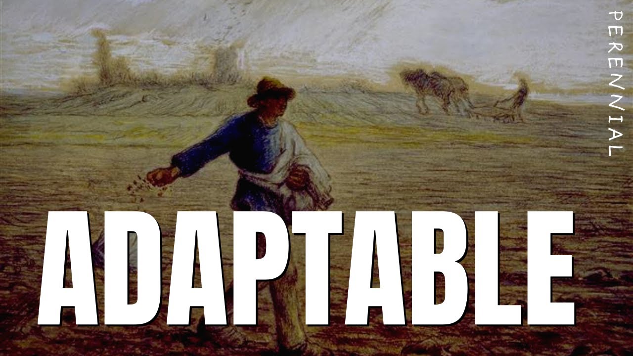 How to Be Adaptable | Stoic Philosophy