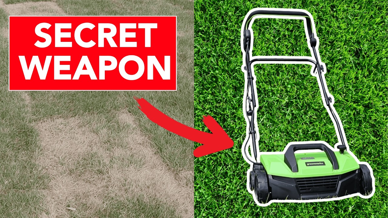 Why don't more people use this tool for a beautiful lawn?