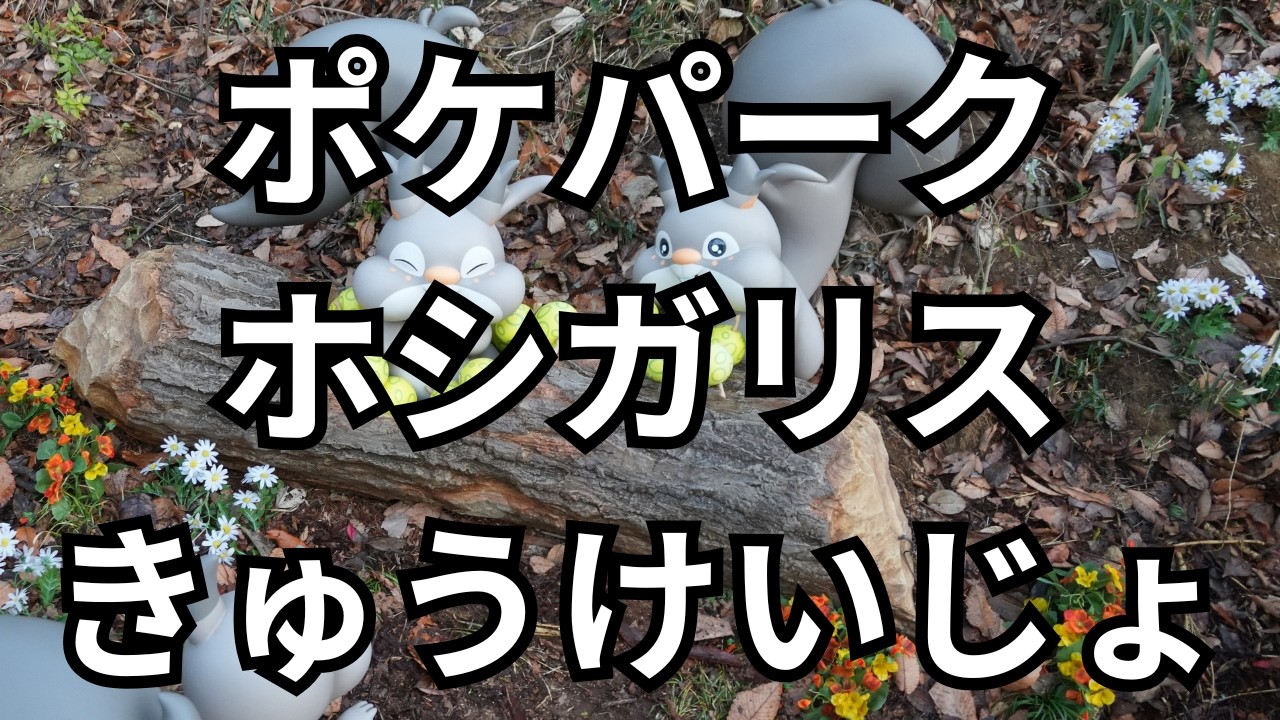 【ポケパークカントー４】ポケモンフォレスト オカシナかいだん～ホシガシスきゅうけいじょ