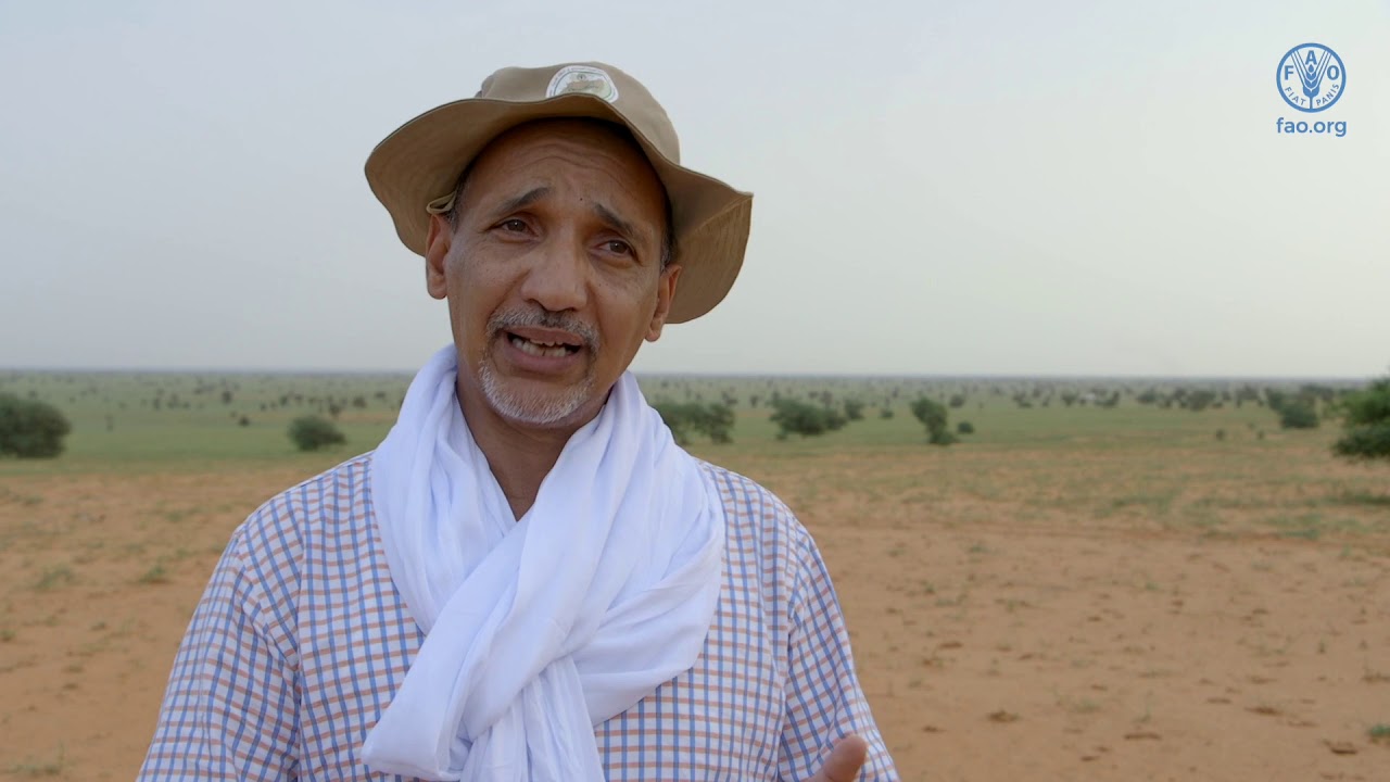 هيئة مكافحة الجراد الصحراوي في المنطقة الغربية - قصة نجاح