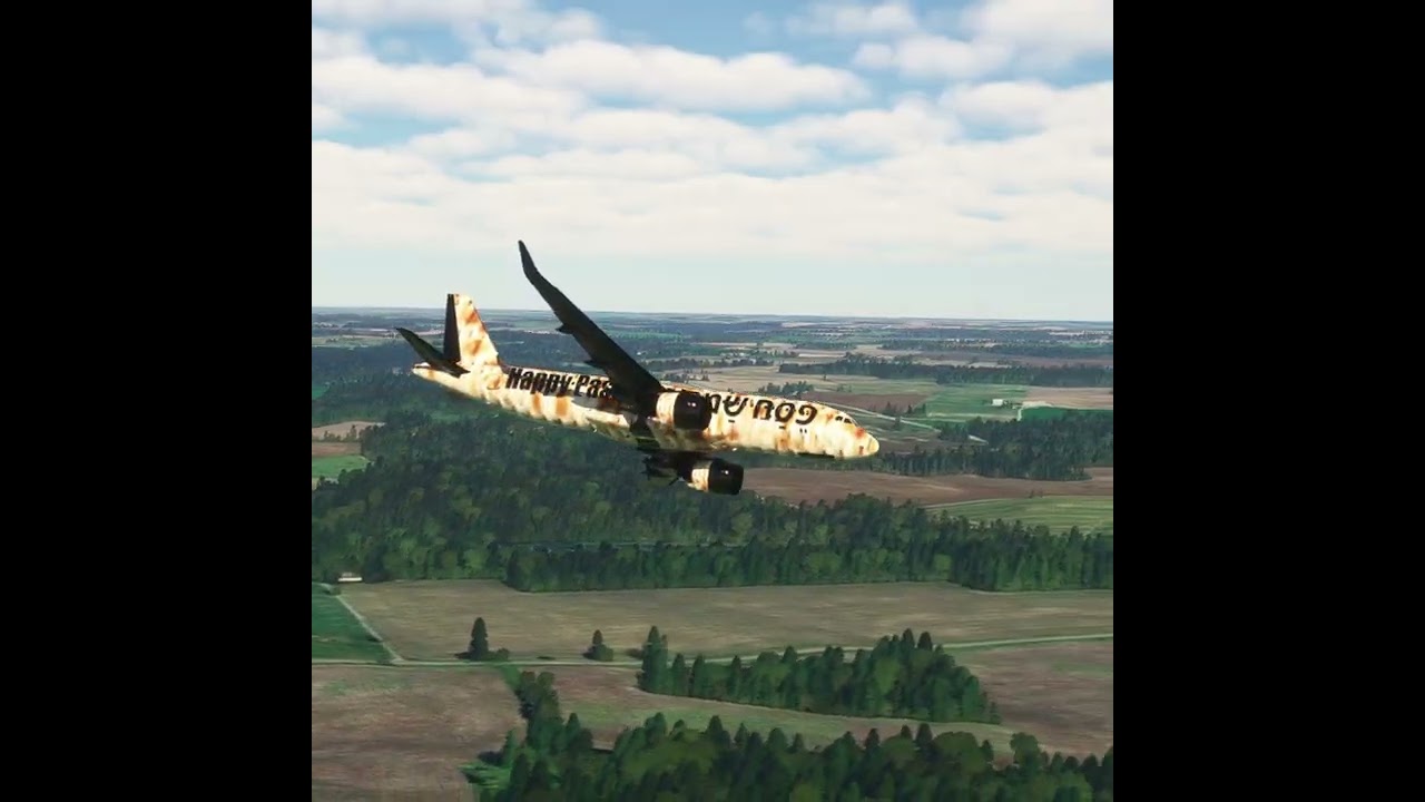 the carelessness of an airplane pilot 0240