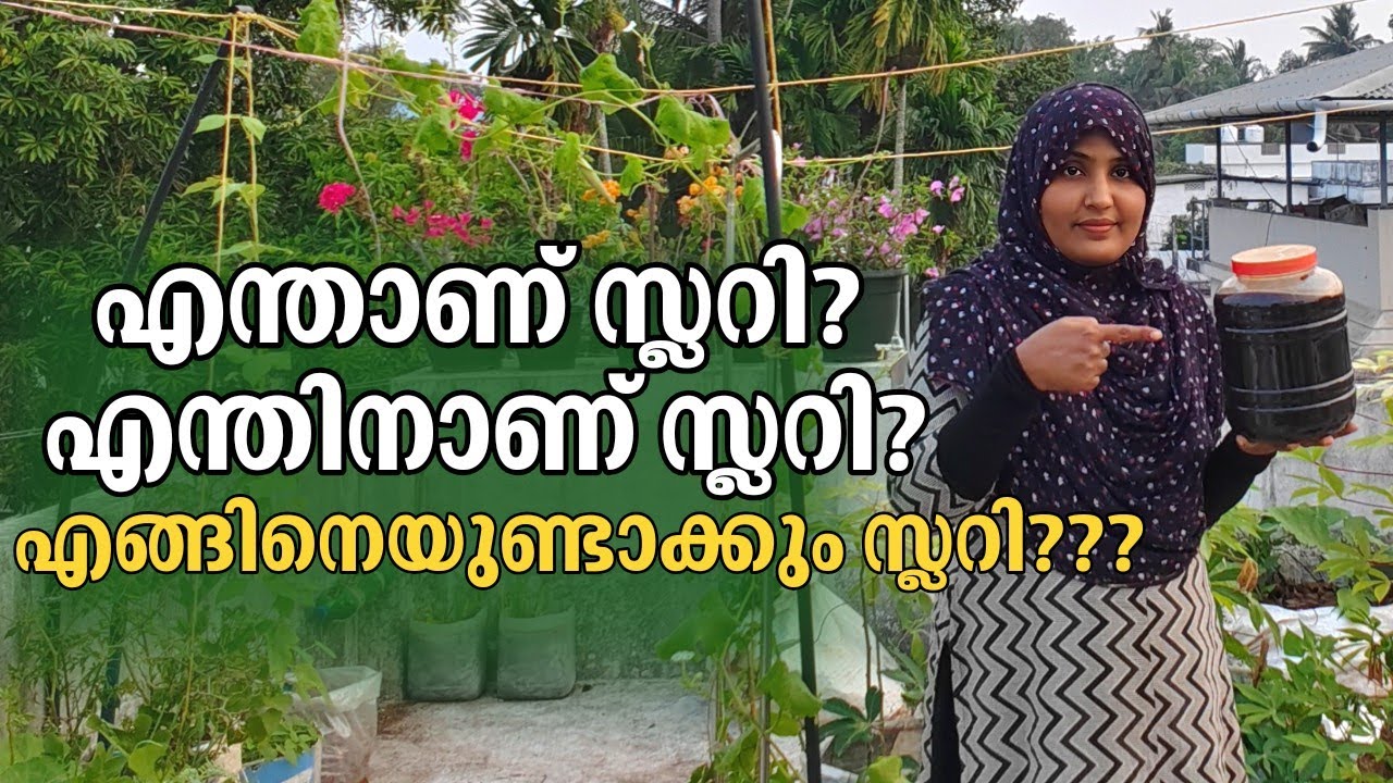 💯%ഫ്രീ|കാശുചിലവില്ലാതെ ഞാൻ ഉണ്ടാക്കിയ ജൈവ സ്ലറി|Home made organic fertilizer|Master Midha|Homegarden