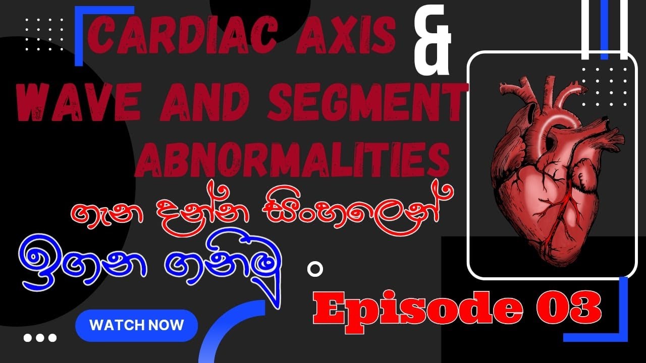 Cardiac axis | Wave and Segment Abnormalities | Cardiovascular physiology | Ep 3 | EduLIFE Solutions