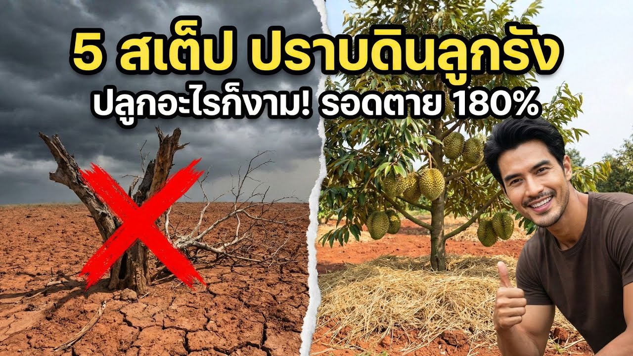 ทำผิดมาตลอด! ✅ปราบดินลูกรัง 'ฉบับวิศวกร' 🛠️ เปลี่ยนดินหิน ให้ปลูกงามทุกต้น!