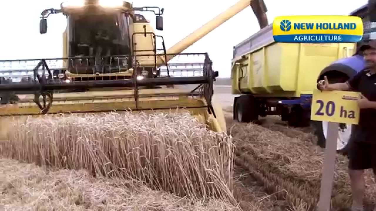New Holland TC4.90 rekordní sklizeň