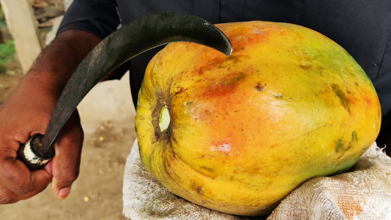 Fruit Ninja of India Amazing Fruits Cutting Skills | Fruit Ninja Compilation | Fruit Cutting Skills