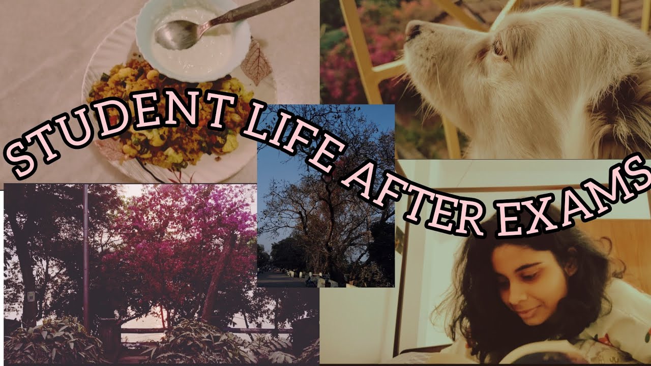 Life After Exams | Simple Daily Vlog |Calm Daily Vlog