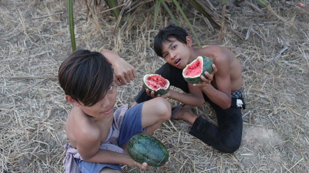 Three boy eat watermelon,YuwaDaily Life