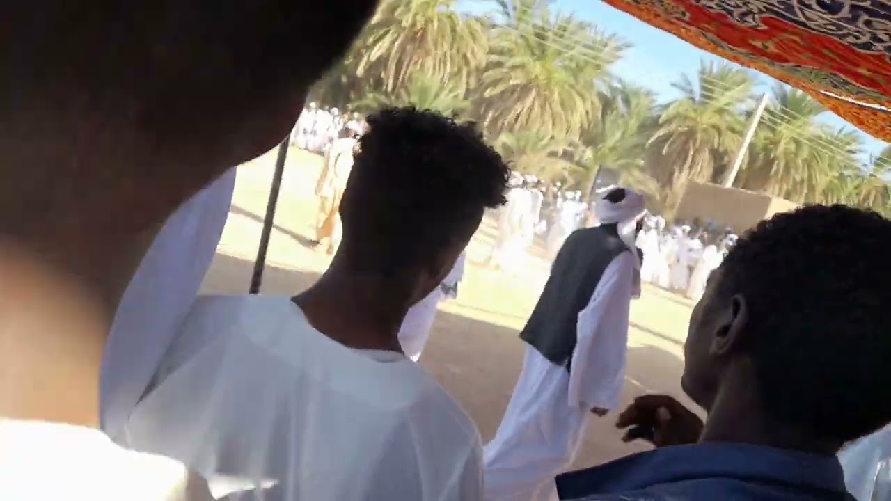 عبدالله حسن مدني سلك  # الدواديب