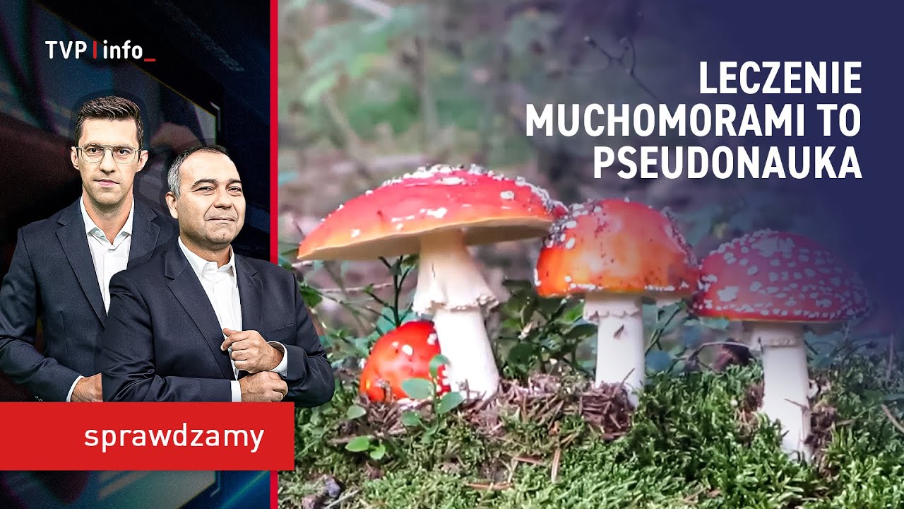 Leczenie muchomorami to pseudonauka | SPRAWDZAMY