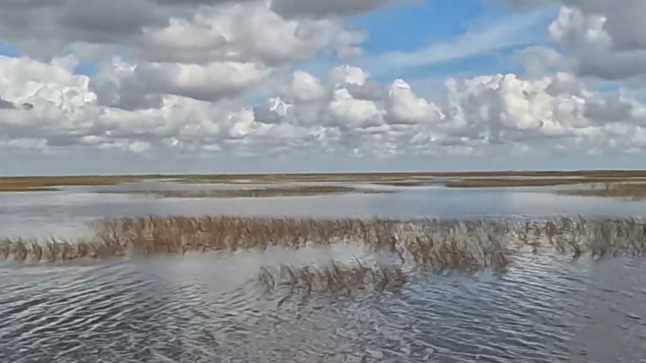 Sawgrass Airboat ride 
