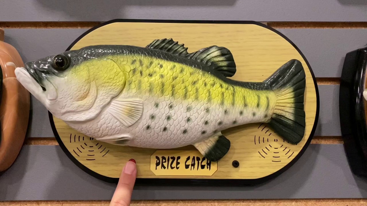 Prize catch singing fish (speed up the video!)