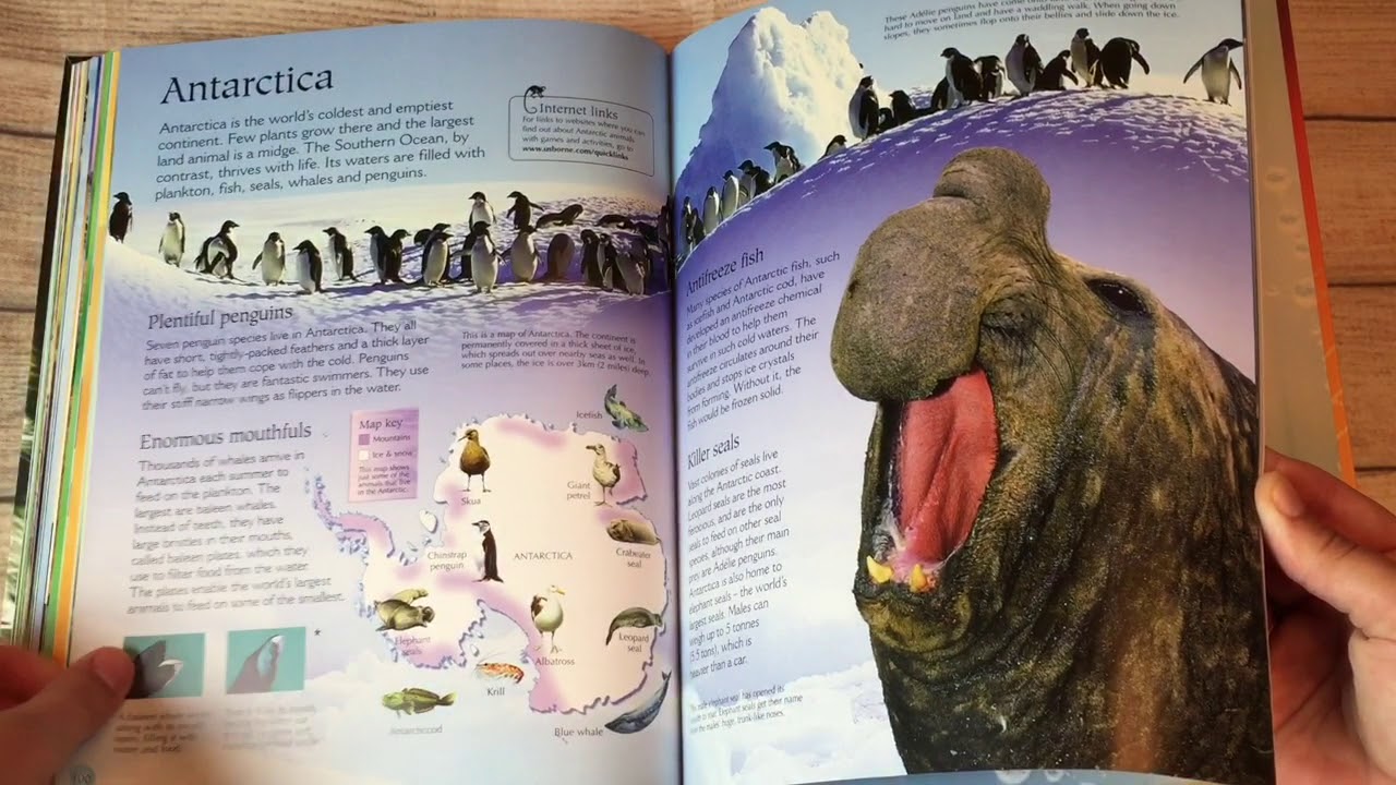 A Look Inside The Usborne World of Animals Book