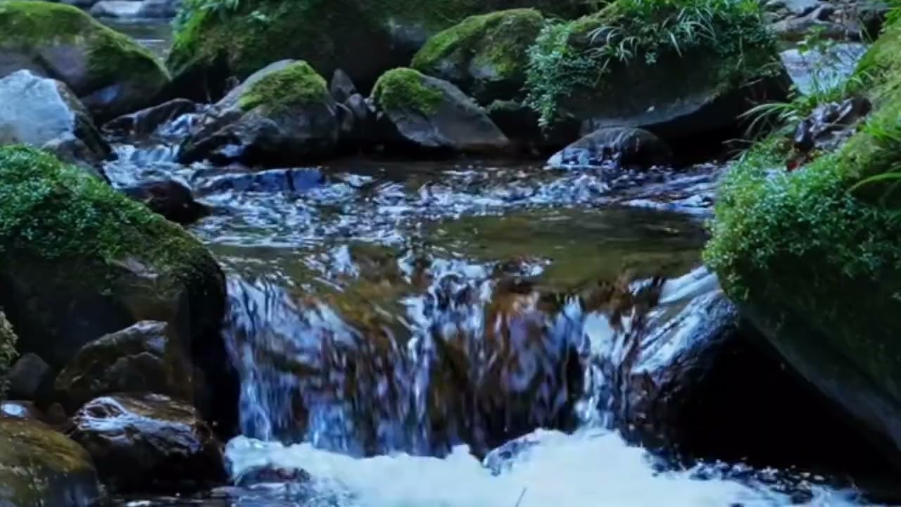 Gentle River Sounds for Deep Relaxation | No Talking