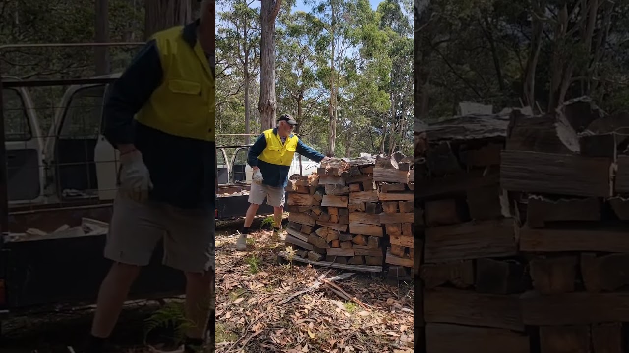 #138 First load of firewood going down to the woodshed and moisture testing.