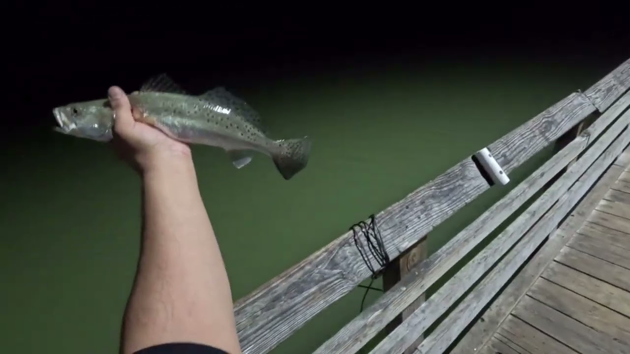 Fishing arroyo city park for a few hours