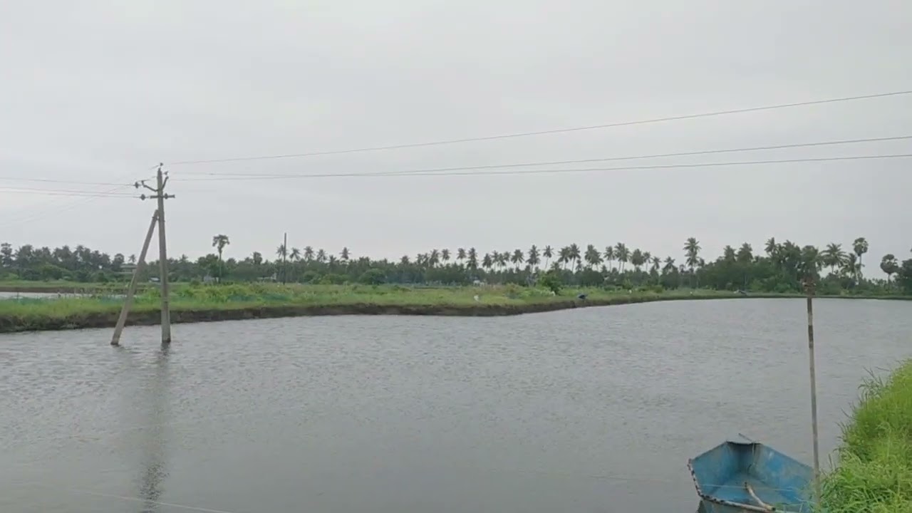 Andhra Pradesh fish tank