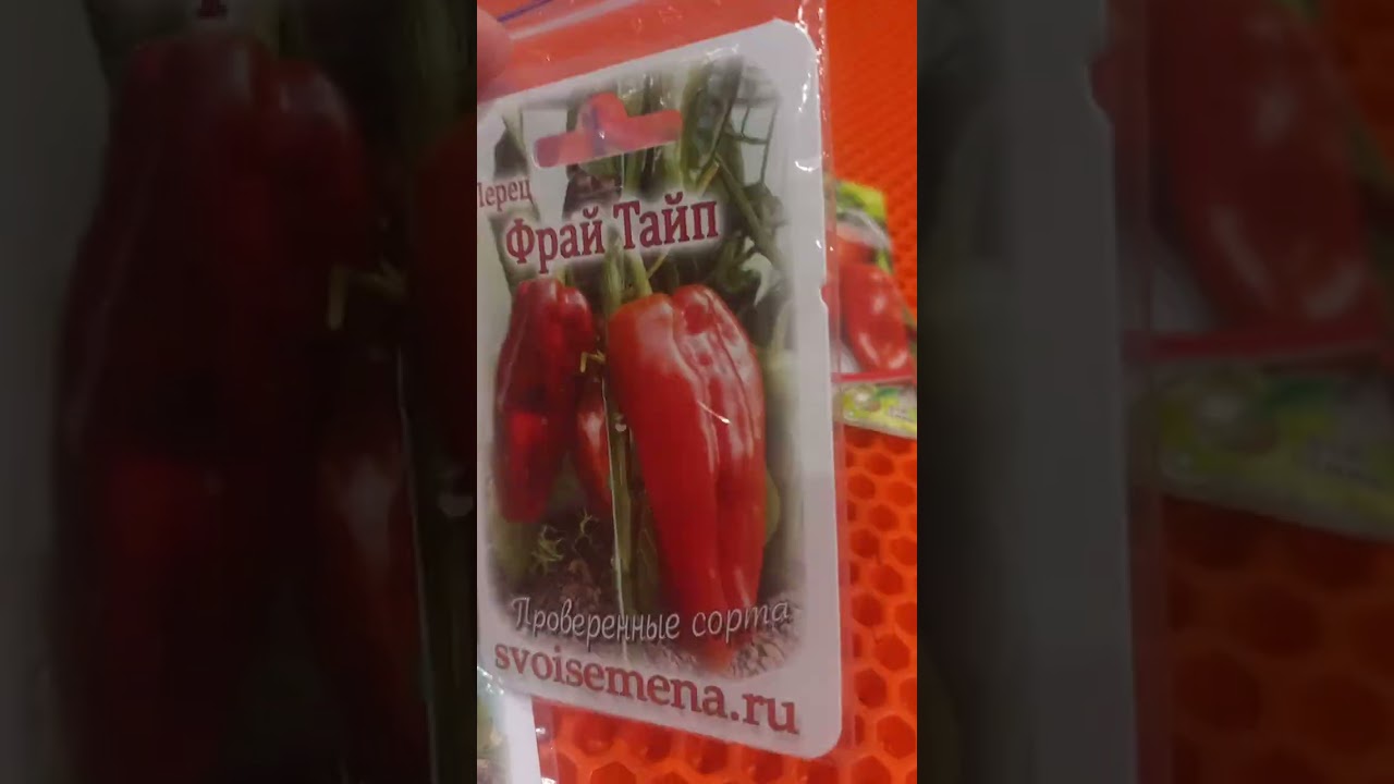 5 февраля 2026 г.