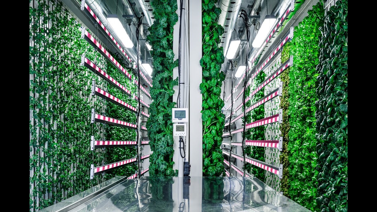 ZipPod - Container Farm Tour
