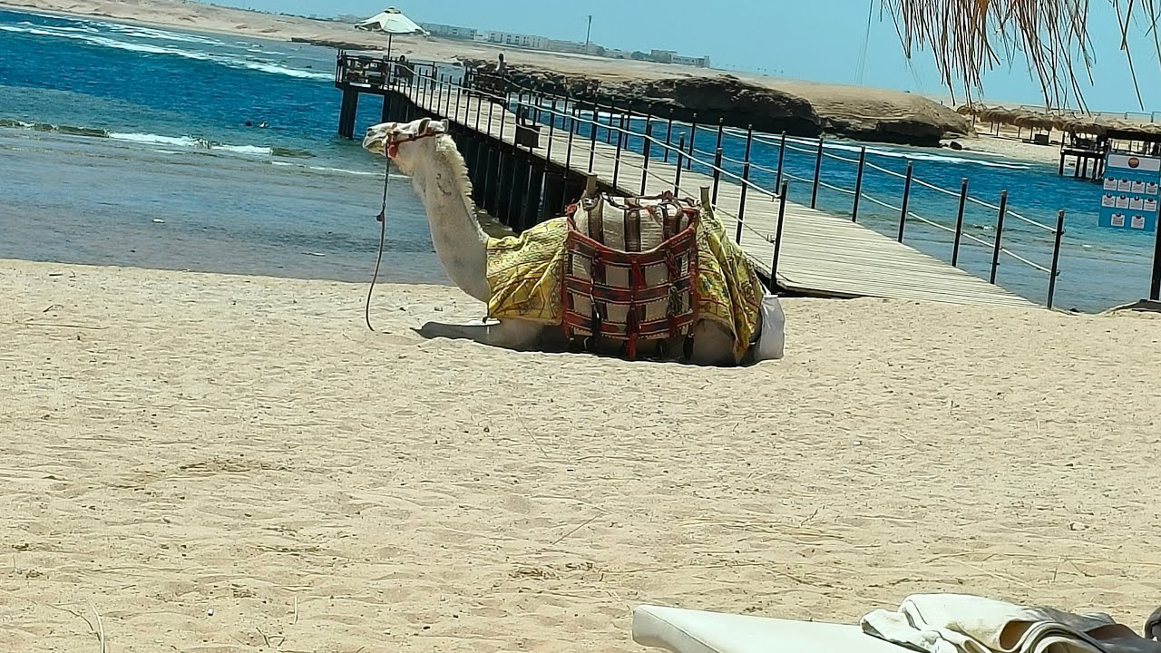Uitstap naar sharm el naga