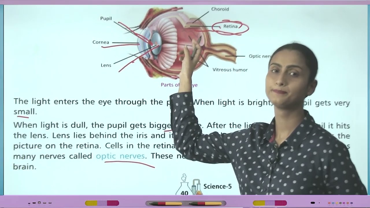 Ch 4 | Jophiel Books | Science | Class 05 | Nervous System | For children