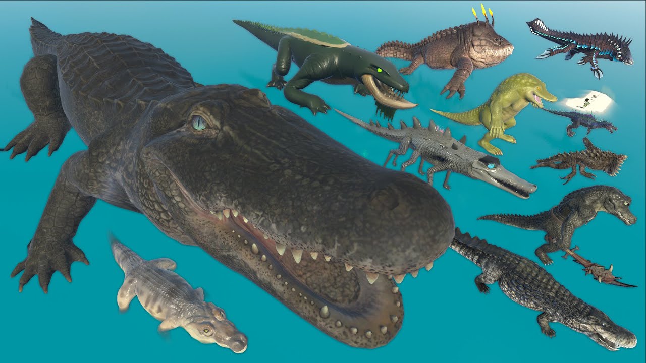 Aircraft Crocodile Vs Lizzie Vs Real, Monster Crocodile & Alligator 3D Size Comparison