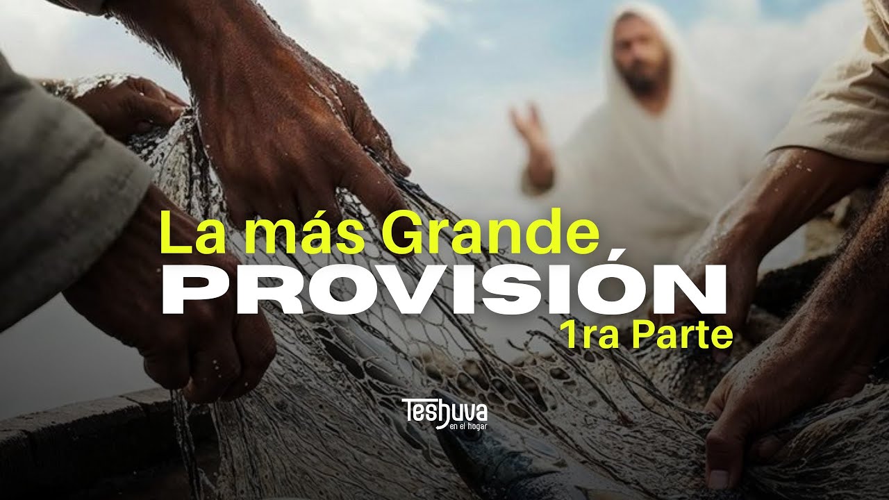 La mas grande Provisión