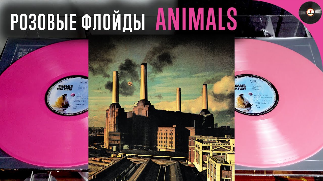 Розовые Флойды, обзор двух изданий Pink Floyd - Animals