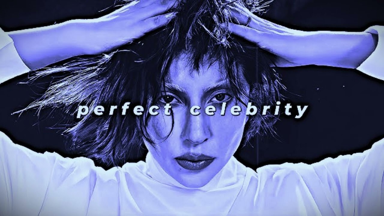 Perfect Celebrity (Schmandy's remix)