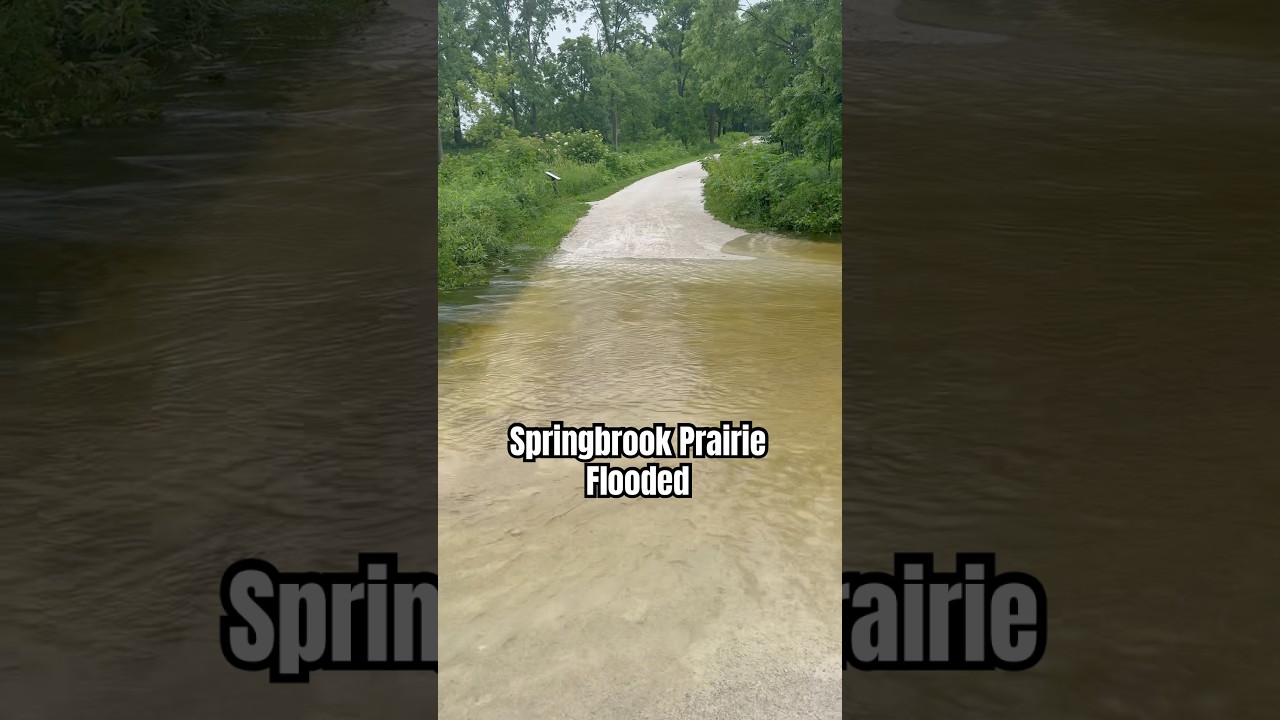 Springbrook Prairie flooded after the Naperville storms #naperville #aurora #springbrook #flooding