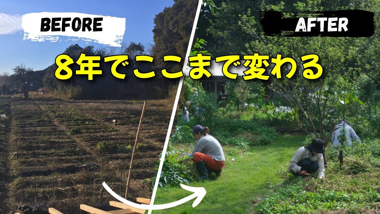 普通の畑が「森のような畑」になるまで｜のおとファーム8年間の記録【ビフォーアフター】