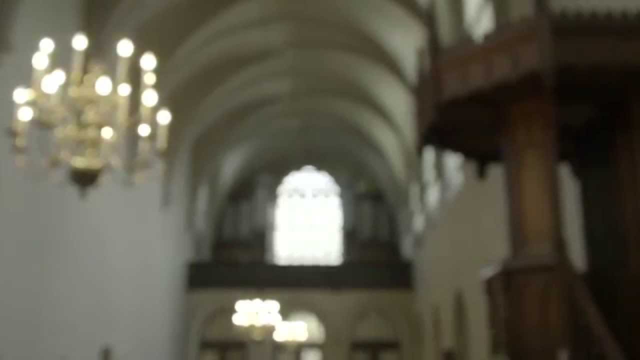 Willem Ceuleers over het Walcker orgel - Antwerpen (Protestantse kerk)