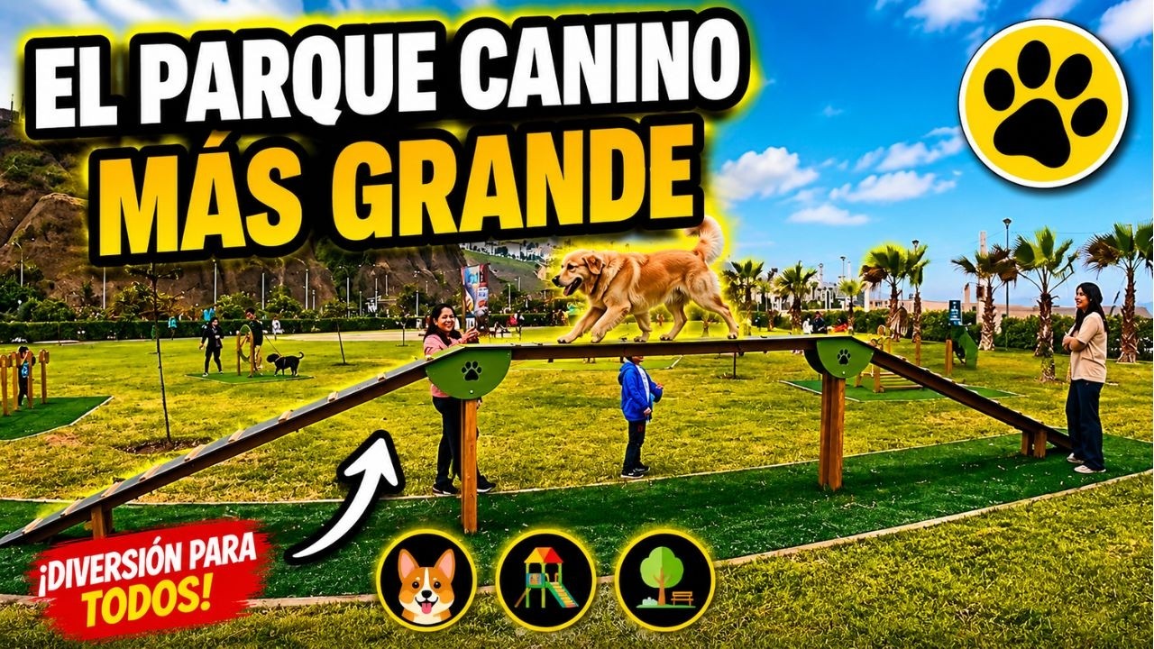 Aquí puedes llevar a tu mascota #mascotas #parati #viralvideo