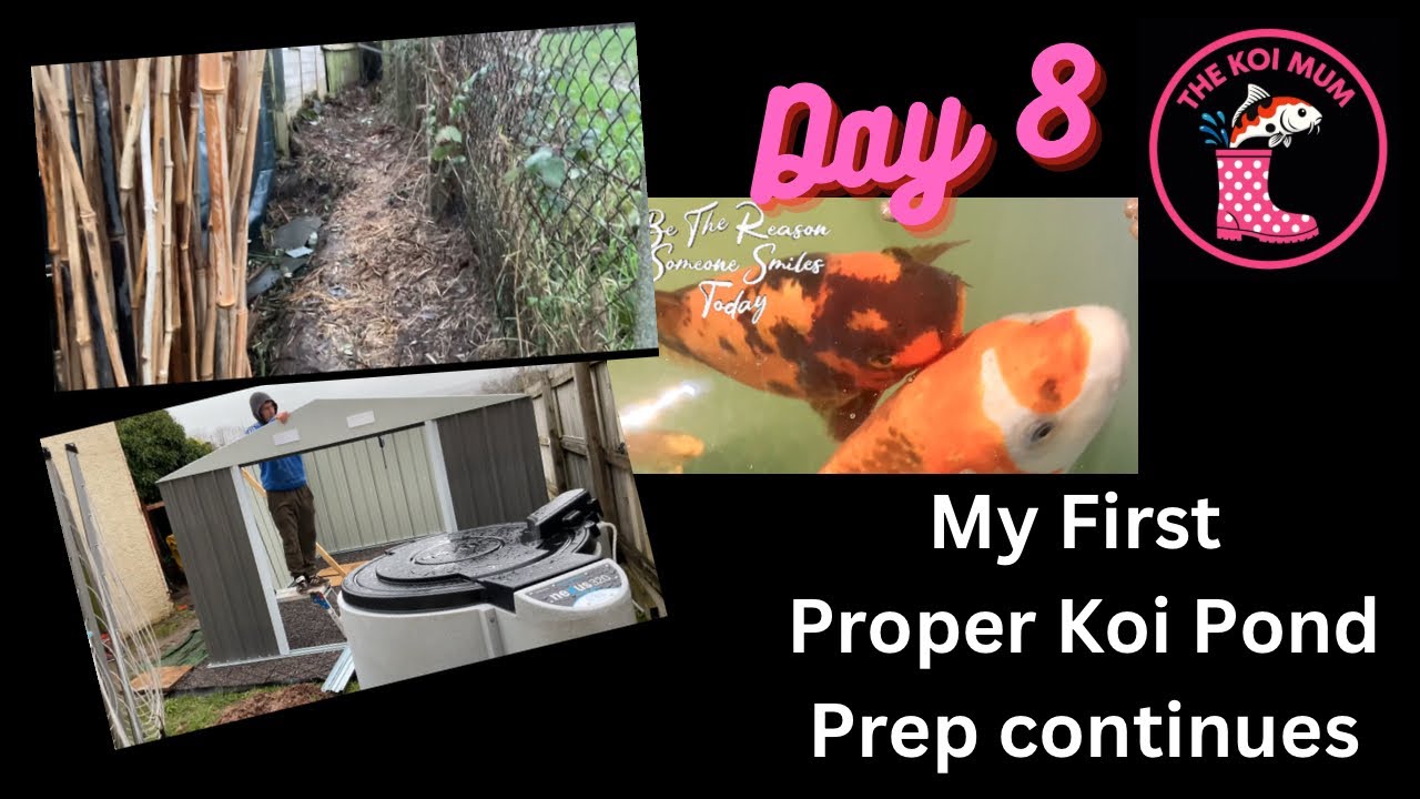 My First Koi Pond - So much prep!!