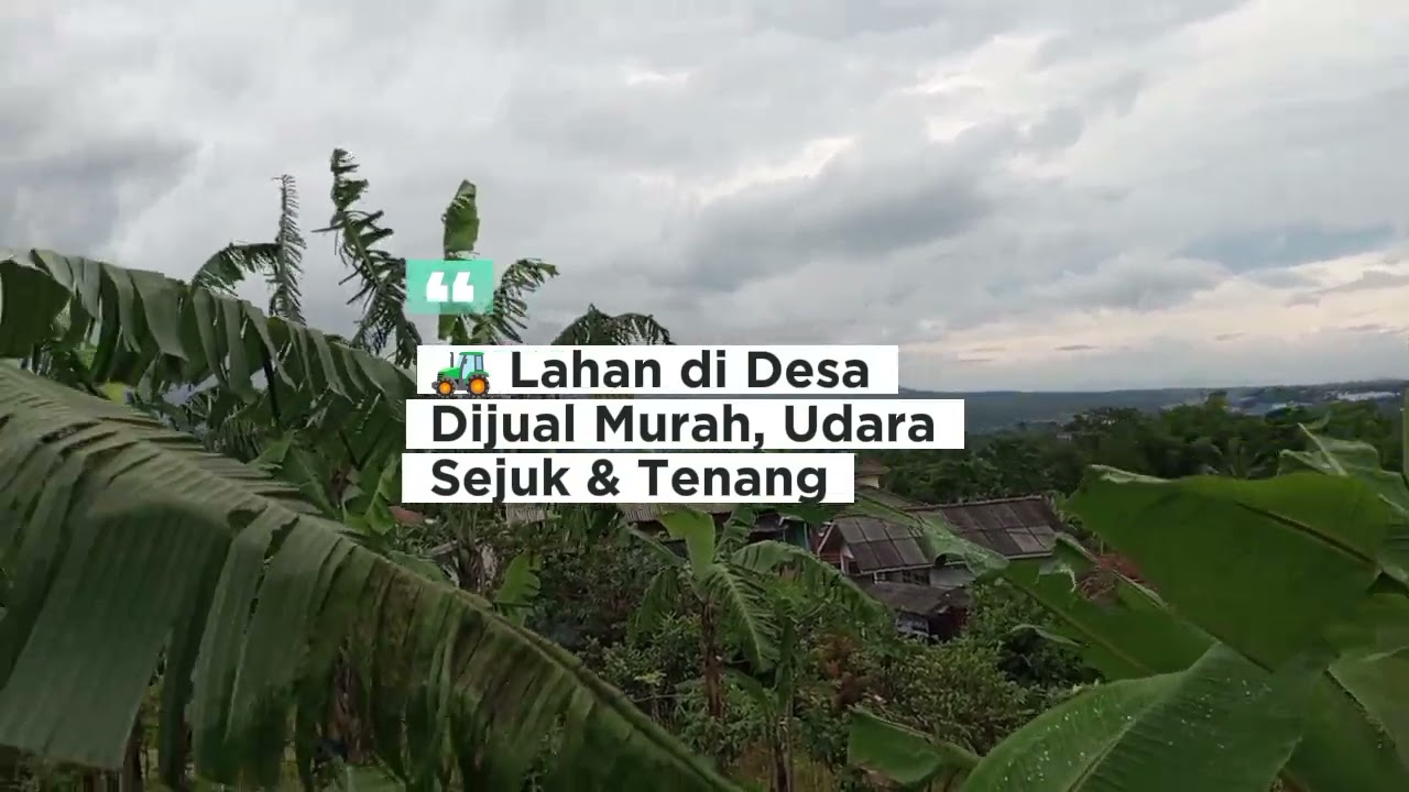 🚜 Lahan Desa Dijual Murah, Udara Sejuk & Tenang