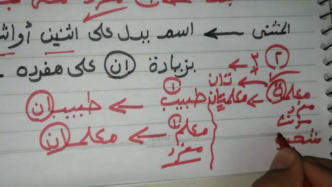 اقسام الأسم من حيث العدد (المفرد و المثنى والجمع)