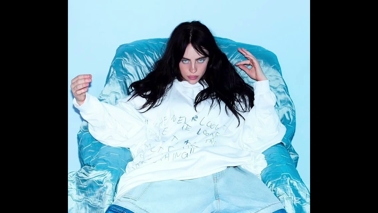 Billie Eilish- Wildflower (Empty Arena)