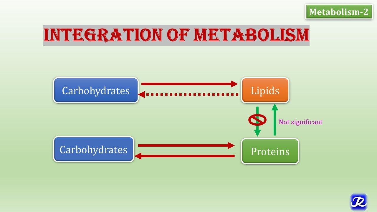 2: Integration of Metabolism | Metabolism-2 | Biochemistry | N'JOY Biochemistry