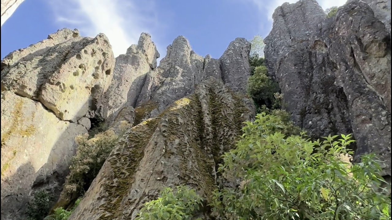 We had a picnic at Hanging Rock