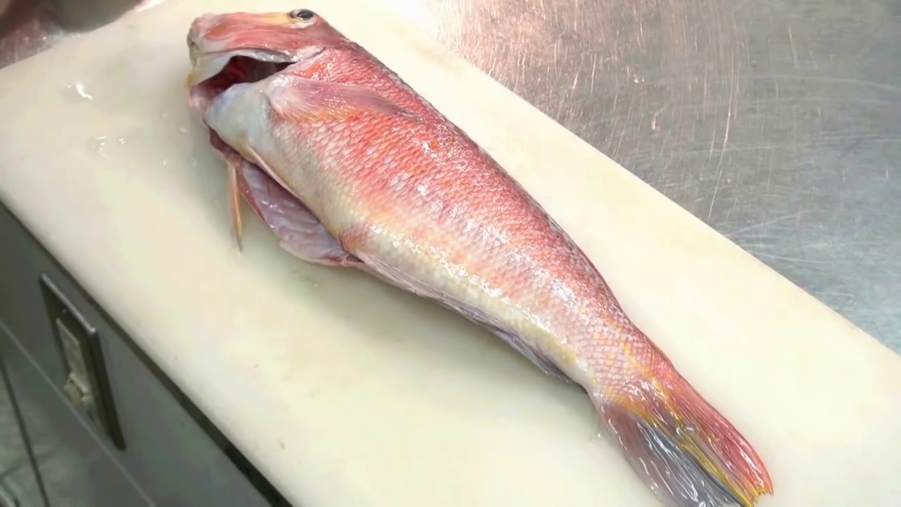 甘鯛のさばき方（湯引き編） How to cook　Tilefish　yubiki sashimi Japanese food