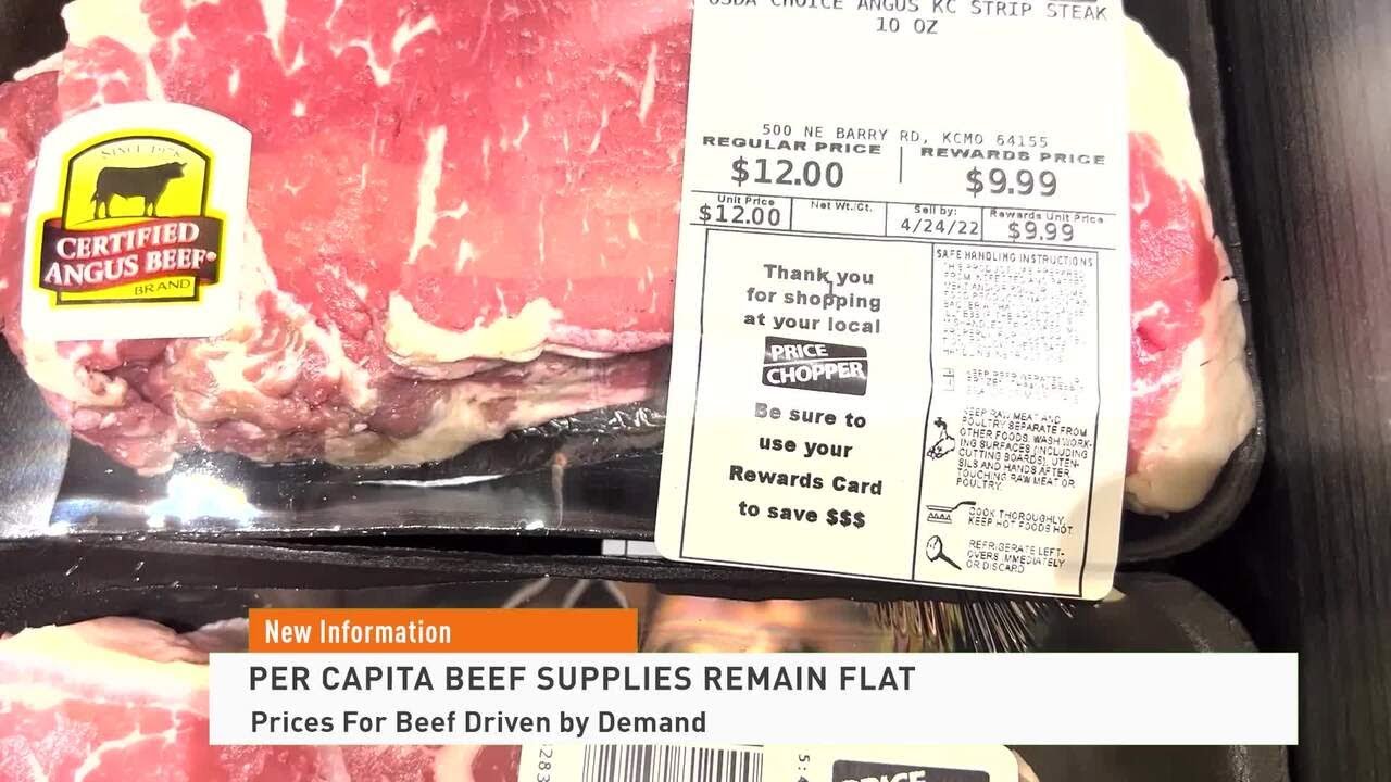 Are U.S. Producers Finally Rebuilding the Cattle Herd?