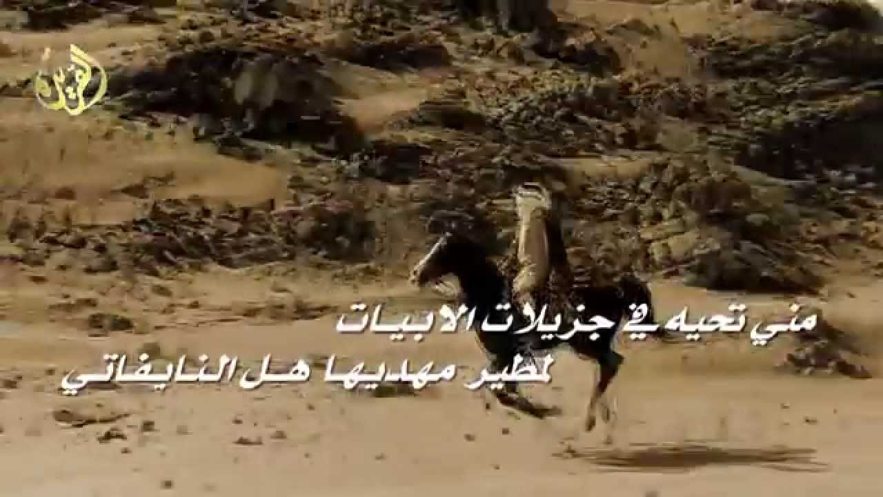 ( معجزات مطير ) كلمات الشاعر فلاح مطر الهفتاء أداء طارق الشلاحي