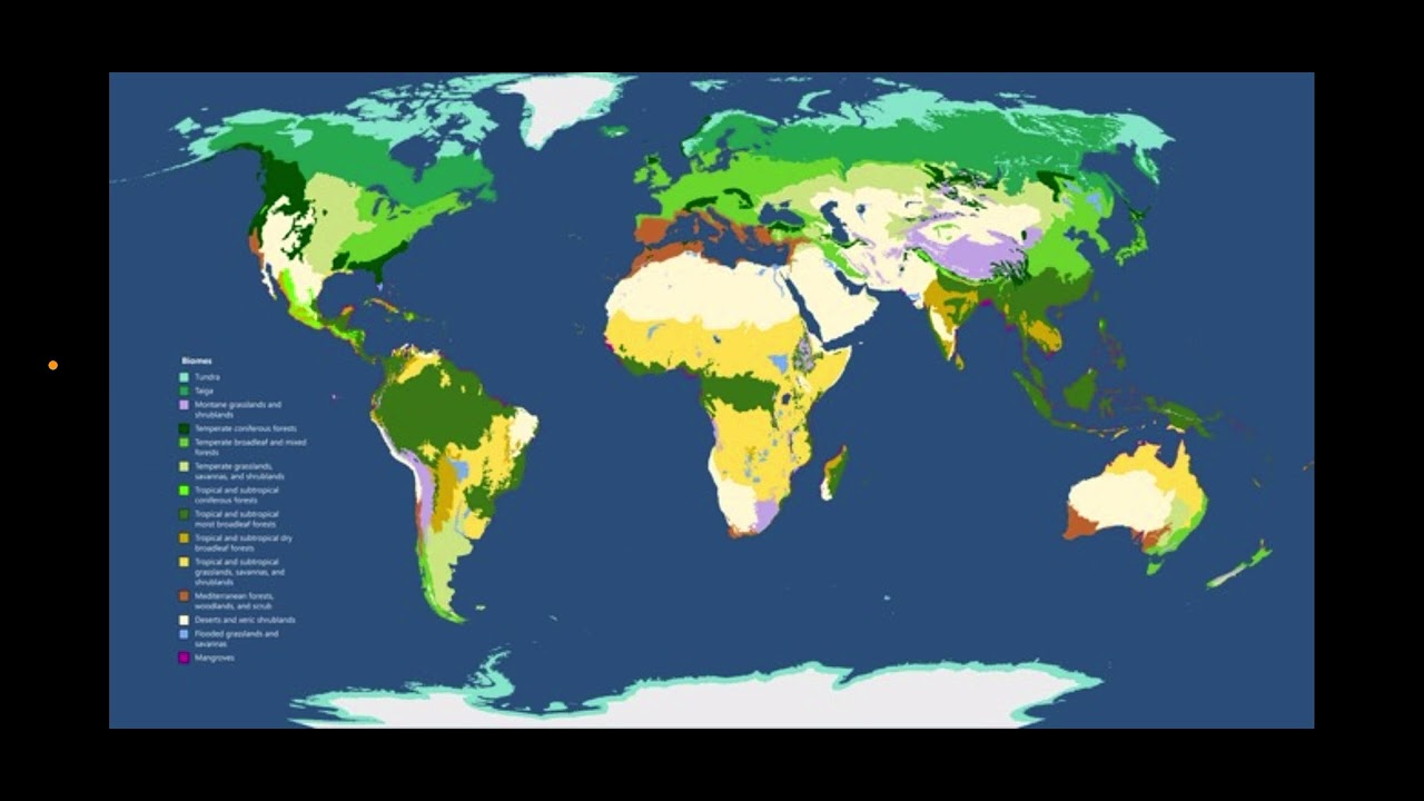 Biocen&oacute;zy Země, potravn&iacute; řetězec, biomy, AKTIVITA (FYZICK&Aacute; GEOGRAFIE)
