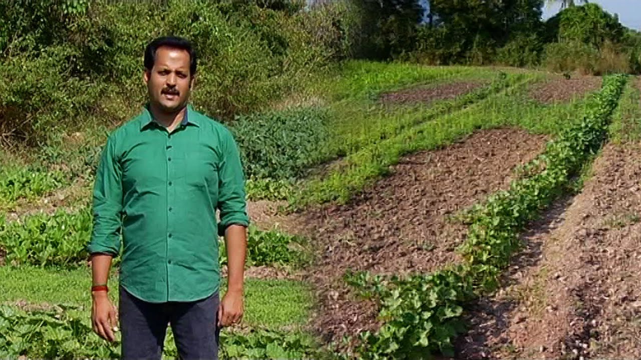 முழு நேர இயற்கை விவசாயியாக மாறிய முதுநிலை பொறியியல் பட்டதாரி இளைஞர் | Malarum Bhoomi