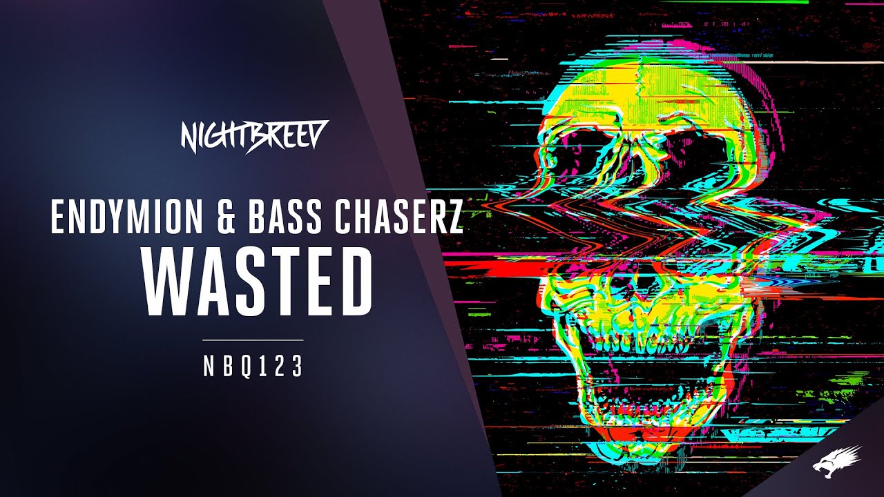 Endymion & Bass Chaserz - Wasted