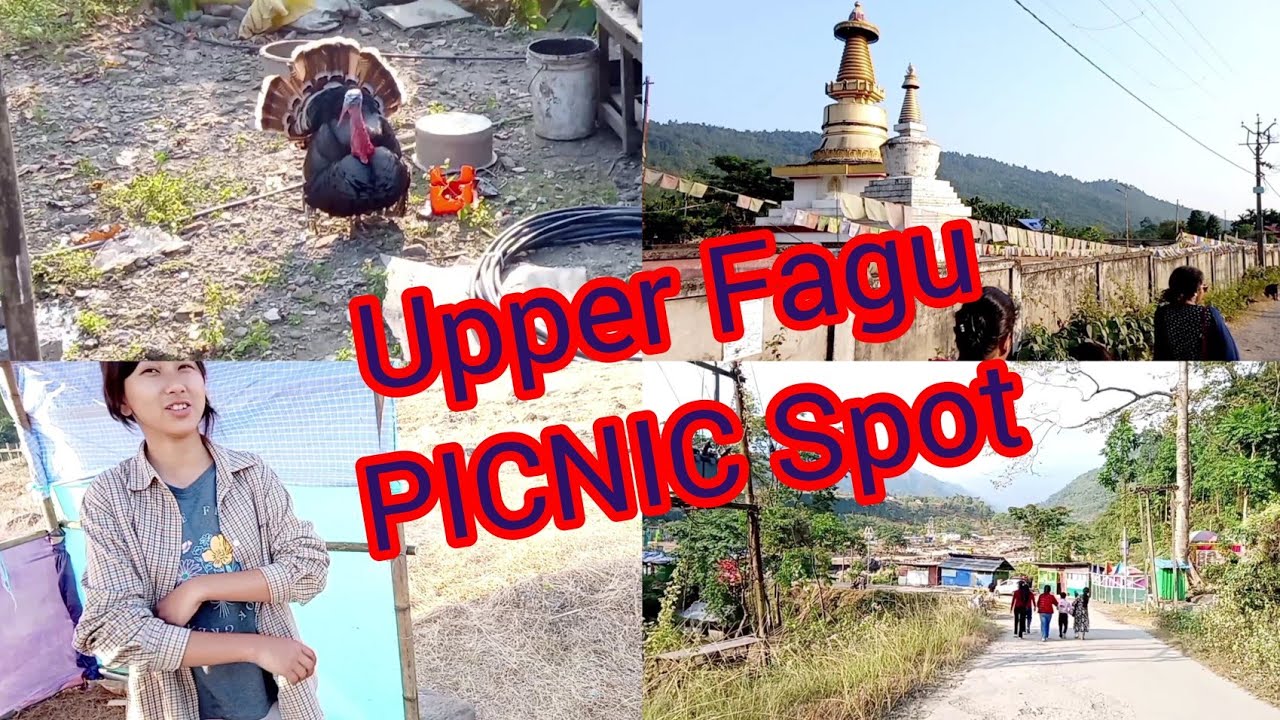 🎈🎈Upper Fagu PICNIC spot 🎈🎈#travel #nature